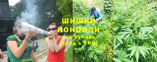 ПСИЛОЦИБИНОВЫЕ ГРИБЫ Балабаново