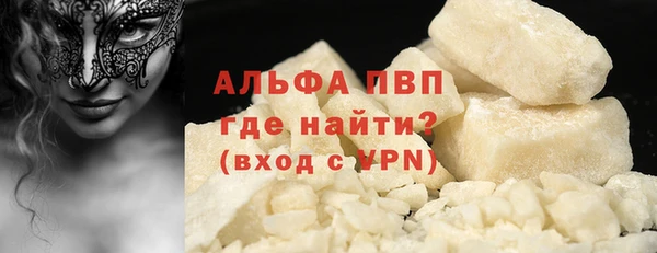 хмурый Аркадак