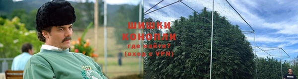 трава Балахна