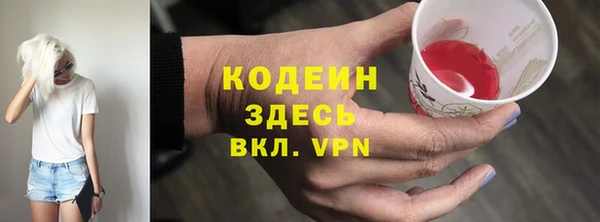 хмурый Аркадак