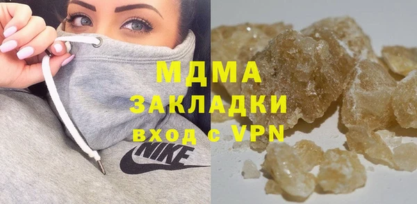 хмурый Аркадак