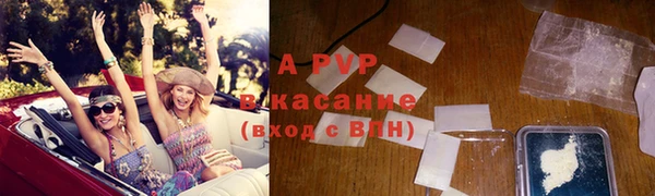 хмурый Аркадак